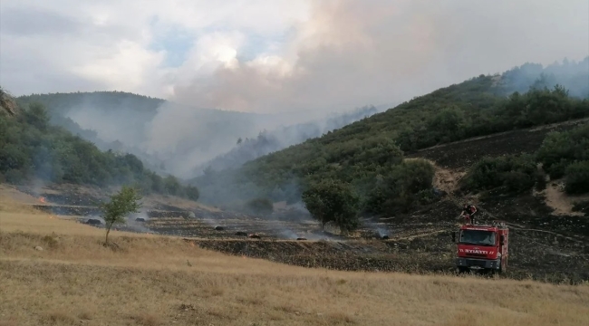Tokat'ta ve Bursa'da orman yangını