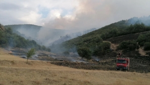Tokat'ta ve Bursa'da orman yangını