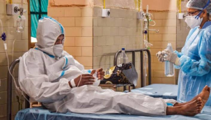 Türkiye'de 2024'te maymun çiçeği vakası yaşanmadı