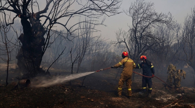 Yunanistan'da bu yıl çıkan yangın sayısı %50 arttı