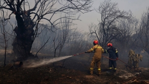 Yunanistan'da bu yıl çıkan yangın sayısı %50 arttı
