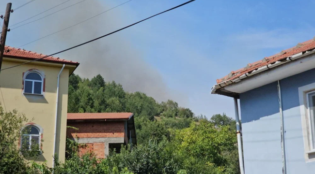 Zonguldak Devrek'te orman yangını