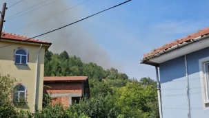 Zonguldak Devrek'te orman yangını