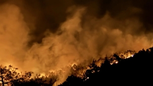 Antakya'da orman yangını