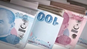 Hazine iki tahvil ihalesiyle 54,8 milyar TL borçlandı