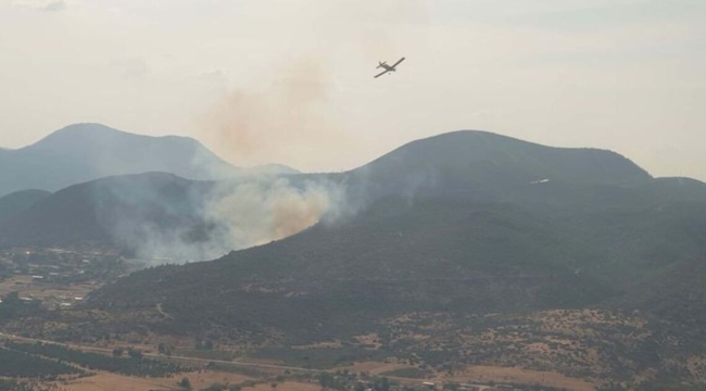 İzmir'in Menderes ilçesinde orman yangını
