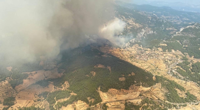 Muğla'nın Menteşe ilçesinde orman yangını
