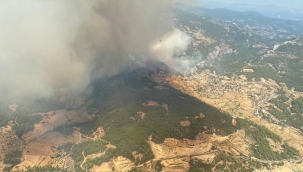 Muğla'nın Menteşe ilçesinde orman yangını