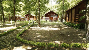 Ormanlar turizm amaçlı tahsis edilebilecek