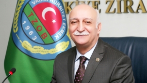 TZOB: "Ayçiçeği üreticisine mali destek şart"