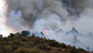 Afyon'un Hocalar ilçesinde orman yangını