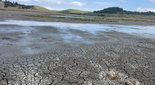 Denizli Buldan'daki Kuş Cenneti kuruyor