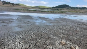 Denizli Buldan'daki Kuş Cenneti kuruyor