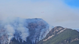 Denizli'de orman yangını 4 gündür sürüyor