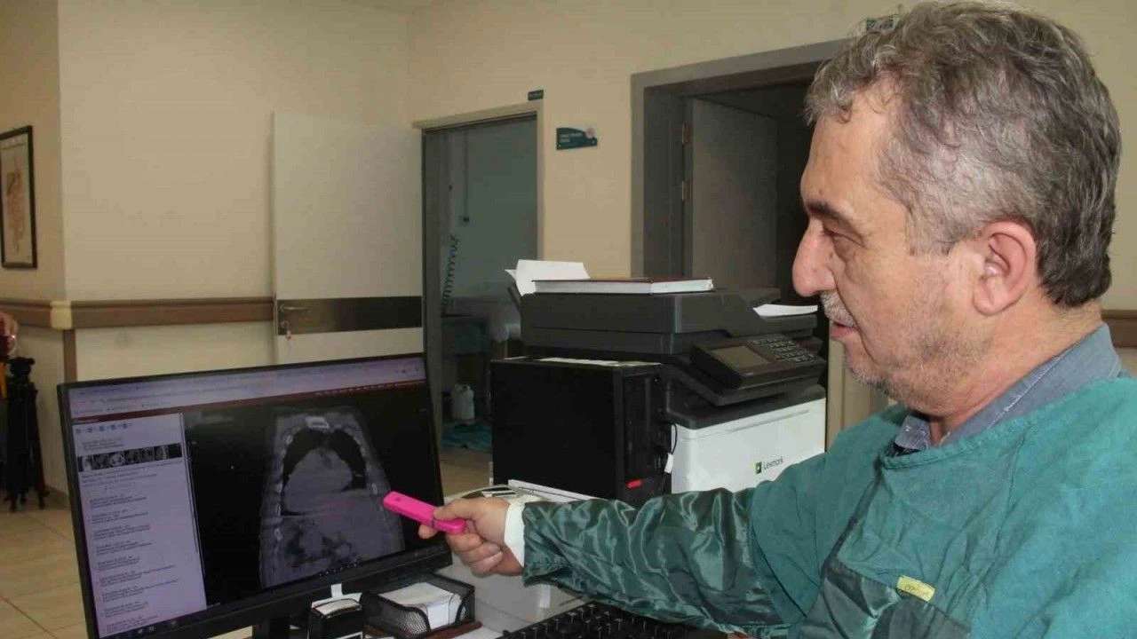 Giresun Sendromu globalde tıp literatürüne girdi