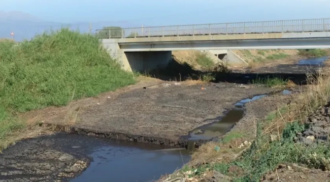 İzmir'de ARF Bio Enerji, atıklarını dereye bıraktı