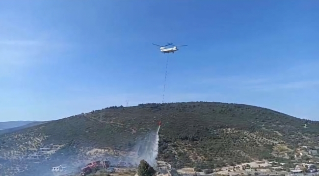 İzmir'in Foça ilçesinde orman yangını