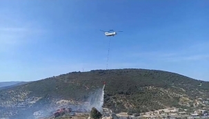 İzmir'in Foça ilçesinde orman yangını