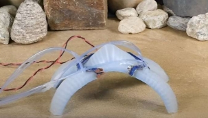 Kendisini ampute edebilen mini robot geliştirildi