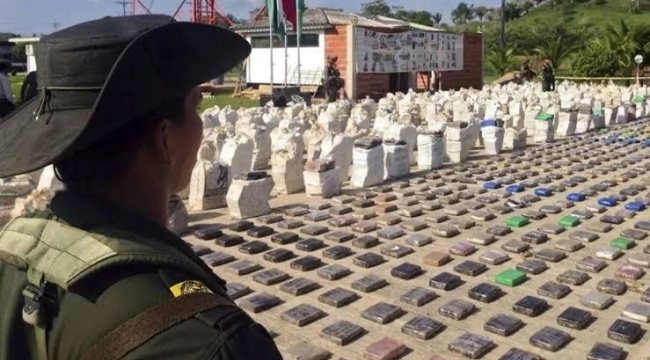 Kolombiya'da 2023 yılı kokain üretimi 2.600 ton