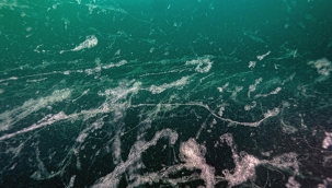 Marmara Denizi'nde müsilaj geri döndü