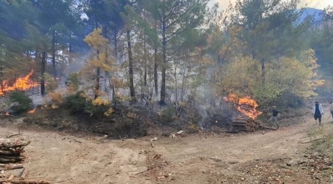 Osmaniye'de orman yangını