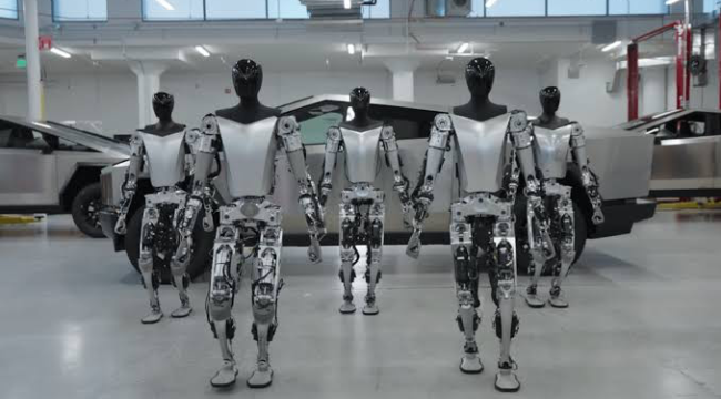 Tesla'nın Optimus robotu 2024 sonunda satışta