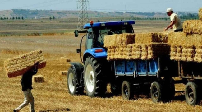 TÜİK'in iddiası: "Tarım-GFE Ağustos'ta yıllık %33 arttı"