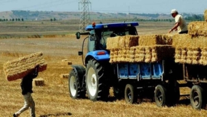 TÜİK'in iddiası: "Tarım-GFE Ağustos'ta yıllık %33 arttı"