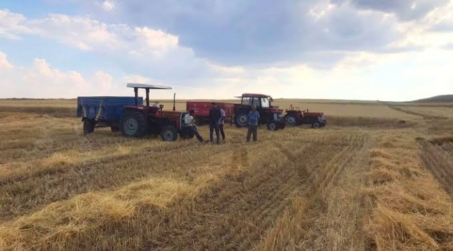 TÜİK'in iddiası: "Tarım-ÜFE, Eylül'de yıllık %31,09 arttı"