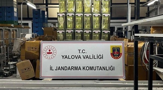 Yalova'da 33 bin litre sahte zeytinyağı ele geçirildi