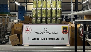 Yalova'da 33 bin litre sahte zeytinyağı ele geçirildi
