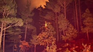 Adana'nın Pozantı ilçesinde orman yangını