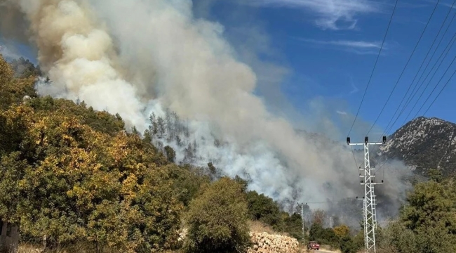Antalya'nın Kumluca ilçesinde orman yangını
