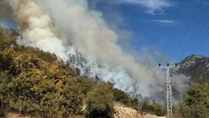 Antalya'nın Kumluca ilçesinde orman yangını