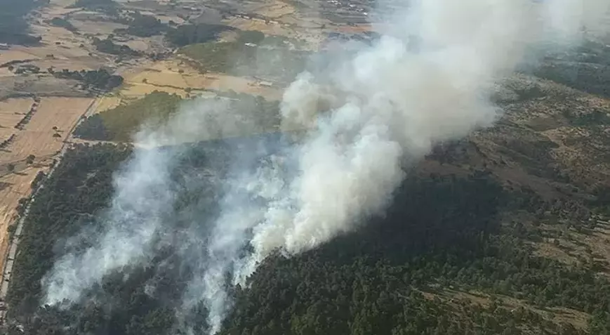 Çanakkale'de orman yangını
