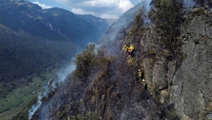Ekvador'da orman yangınları ve kuraklık sürüyor