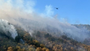 Bilecik'te orman yangını kontrol altına alındı