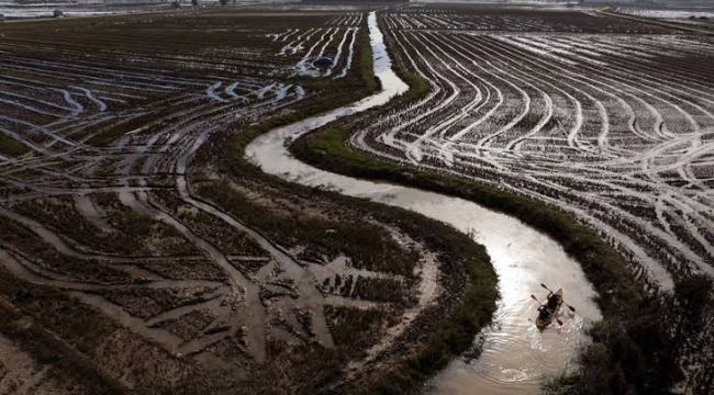 İspanya'daki selde 650 bin ton tarım ürünü yok oldu