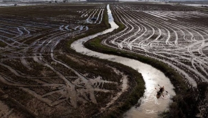 İspanya'daki selde 650 bin ton tarım ürünü yok oldu