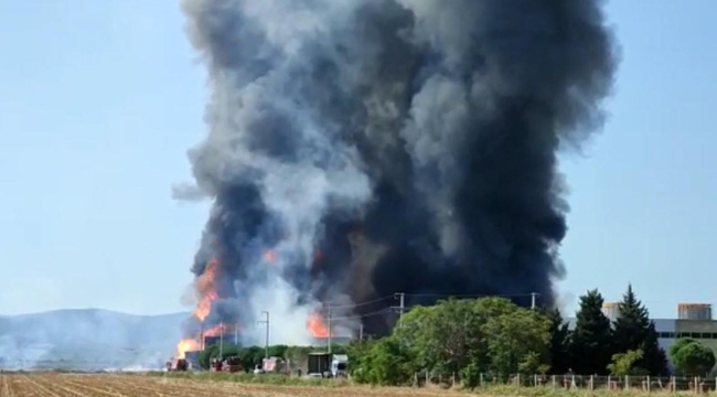 İzmir'de plastik fabrikasında yangın