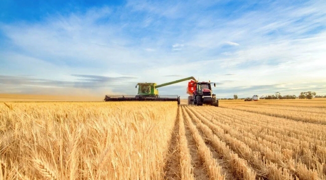 TÜİK'in iddiası: "Tarım-ÜFE Ekim'de yıllık %35,46"