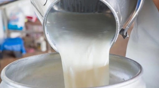 TÜSEDAD'ın çiğ süt için tavsiye fiyatı 22,4 TL oldu