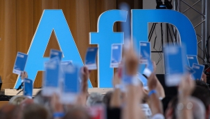 AfD: "NATO, Rus çıkarlarına saygı göstermeli"