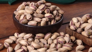 Antep fıstığı fiyatları son 20 günde %30 arttı