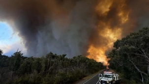 Avustralya'nın Victoria eyaletinde orman yangını