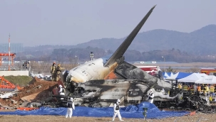 Güney Kore'de uçak kazası: 179 can kaybı