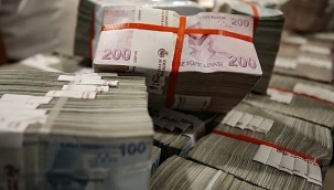 Hazine, 2 tahvil ihalesinde 32,3 milyar TL borçlandı