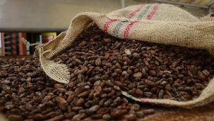 Kakaonun ton başına fiyatı 12.121 $'a yükseldi