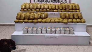 Narkokapan-1: 20 ilde 37 zehir taciri tutuklandı